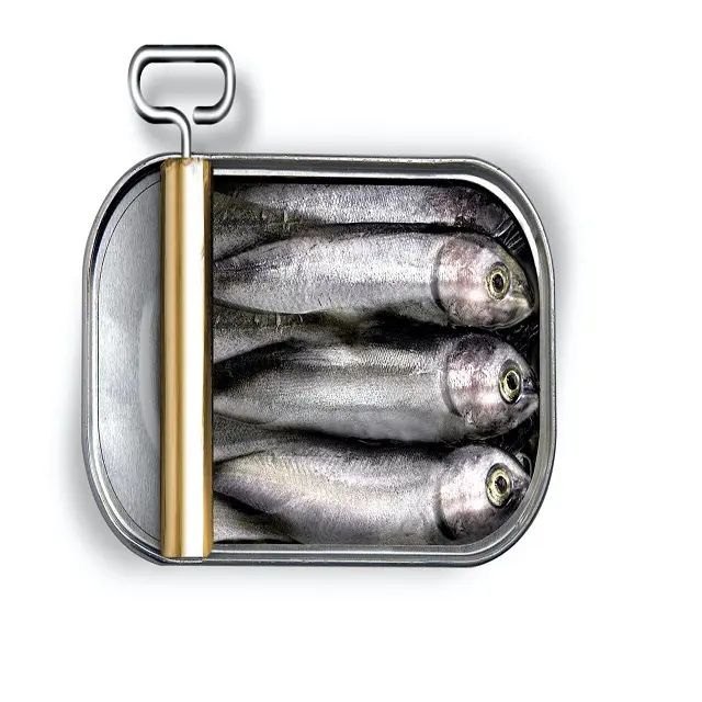 Commercio all'ingrosso 125g Sardine pesce in scatola Sardine olio d'oliva fresco sardina 0.125Kg 2 anni cartone entro 30 giorni corpo