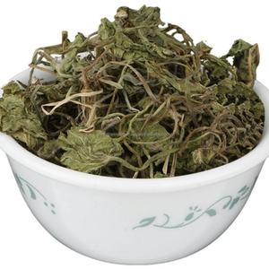 Pennywort indio Bacopa Monnieri seco Brahmi Booti Saraswati hojas secas hierbas crudas producto de hierbas al por mayor - Product Image 2