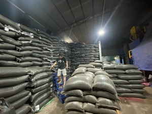 [Envío Inmediato] Café Verde Arábica al por Mayor, Proceso de Lavado Completo S16, Empaque de 60 kg/bolsa de yute, Origen Son La, Vietnam - Product Image 6