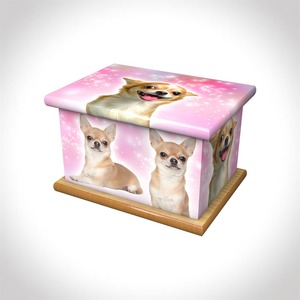 Boîte en bois Urne funéraire pour animaux de compagnie pour cendres d'animaux avec pattes imprimées - Product Image 5