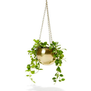 Maceta de diseño antiguo, jardineras de jardín creativas, decoración de interiores, maceta, flores, hierbas, contenedor de proveedores indios - Product Image 4