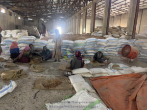 Clean 100 % Natural Sudan Acacia Arabic <b>Gum</b> From Direct Resources Senegal Arabic <b>Gum</b> and Hashab <b>Gum</b> Arabic Agriculture Products - Product Image 6