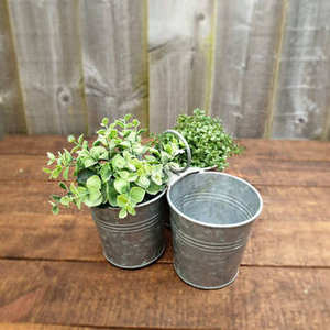 Maceta Doble de Metal Galvanizado con Asa de Transporte, Macetas Rústicas para Hierbas y Flores de Interior y Exterior, Venta al por Mayor - Product Image 6