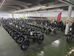 Nouveau en stock : Vélo électrique pliable tout-terrain Urban Utility Lectricks avec moteur arrière 750W - E-Bike X.P 4.0 - Commandez dès maintenant - Product Image 4
