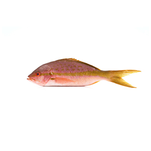 ปลากะพงแดงแช่แข็งอย่างยั่งยืนที่มาจากน้ำที่สะอาดและบริสุทธิ์ - Product Image 6