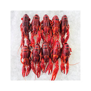 Factory price frozen crawfish ideal for <b>bulk</b> distribution - Product Image 4