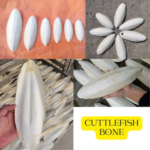 <b>CHEAP</b> Dried Cuttlefish Bone Natural White Oval Shape For Bird Feeding And Craft Use - Product Image 3