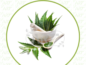 Poudre de neem pure provenant d'Inde azadirachta indica qualité halal pour les acheteurs de gcc dans les suppléments de santé et les cosmétiques - Product Image 3