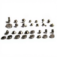 Abrasive Wasserstrahl 303408 305322 318372 520005733 Wasserstrahl-Diamantdüse Wasserstrahl-Diamantdüsen für Wasserstrahlschneidemaschinen