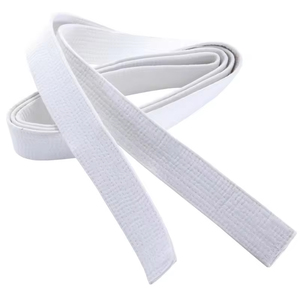 High Quality Custom Made Embroidered <b>Karate</b> Belts Good Selling Martial Arts <b>Equipment</b> with Durable Material - Product Image 4