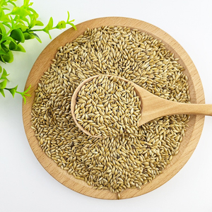 Productos para Mascotas, Alimento para Aves, Semillas de Alpiste, Semillas para Canarios, Granos de Alpiste para Canarios - Product Image 5