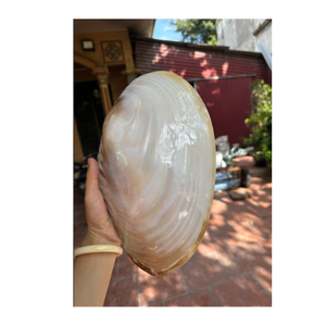 Ustensiles de service en nacre faits à la main écologiques pour manger et servir au Vietnam - Product Image 2