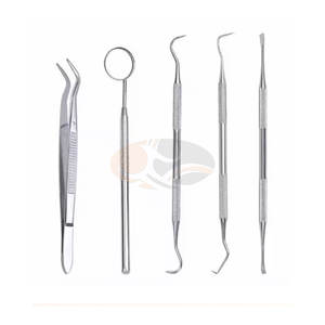 Set de Exploración Dental Básica de 5 Piezas, Acero Inoxidable, Espejo Dental, Raspador, Pinzas, Fuente de Alimentación Manual, Instrumentos Profesionales - Product Image 2
