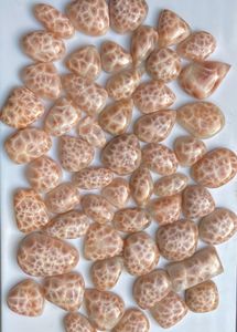 Gemas de Thomsonita Natural de Alta Calidad de Alba Gems, Piedras Sueltas de Diferentes Formas con Efecto de Luz de la India, 10 g-1 kg para la Fabricación de Joyas - Product Image 3