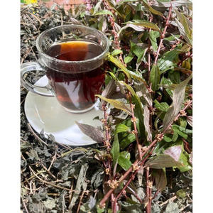 Hojas de Té de Pouzolzia Púrpura 100% Naturales de Vietnam, Sra. May - Product Image 4