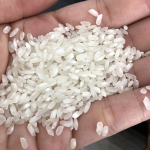 Riz blanc à grains moyens Calrose/Camolino de qualité supérieure, frais, norme d'exportation, texture dure, origine Vietnam/ ANNA DO VILA - Product Image 2