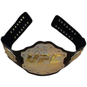 Cinturón de Campeonato de Lucha Libre Intercontinental de Peso Pesado, Tamaño Adulto - Product Image 1