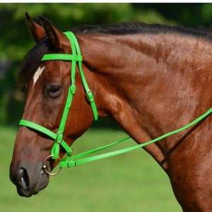 Juego de resistencia para montar a caballo inglés multifuncional más vendido, brida Martingale Multicolor totalmente ajustable, riendas listas para enviar - Product Image 5