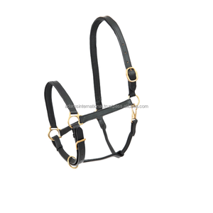 Cabestro de caballo de cuero acolchado suave de alta calidad - Product Image 3