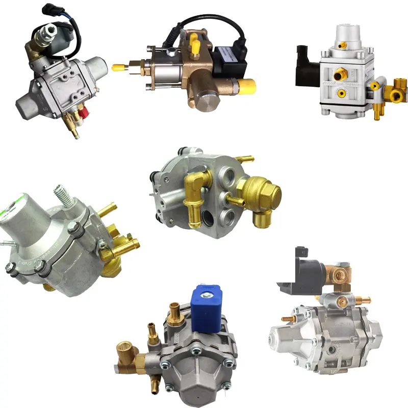 High Quality CNG Reudcer Natural Gas Engine Spare Pars Reudcer High Pressure Reducing Valve