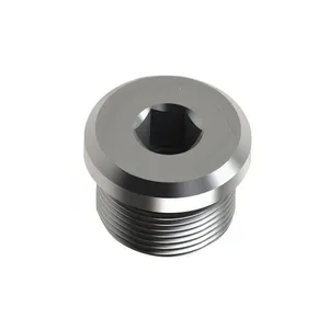 ปลั๊กอุดรูแบบ PNR พร้อมหัวอัลเลน (โอริง)-ฟิตติ้ง - Product Image 1