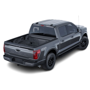 Pick-up électrique pleine grandeur d'occasion 2025, le plus vendu, au prix d'usine, en bon état - Product Image 5