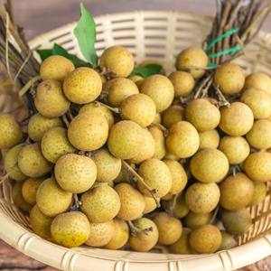 ผลไม้เมืองร้อนเปลือกสีน้ำตาลอ่อนรสหวานฉ่ำน้ำลำไยสำหรับการส่งออกจำนวนมากทั่วโลก - Product Image 1