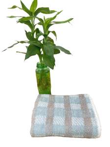 Serviette de plage en coton en gros avec logo et design personnalisés - Product Image 4