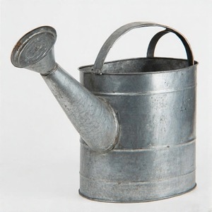 Jarra de riego galvanizada funcional pero elegante con base ancha para estabilidad y Punta de vertido estrecha para un uso enfocado - Product Image 5