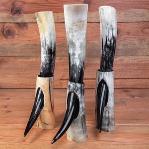 Soporte de té de cuerno de búfalo de gran tamaño de estilo vikingo, cristal artesanal, increíble diseño de Animal náutico Natural, artesanías naturales pulidas - Product Image 2