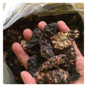 EXPORTACIÓN SUPERIOR HOJAS DE NONI SECAS CALIDAD SUPERIOR VIETNAMESA CON SABOR NATURAL - Product Image 2