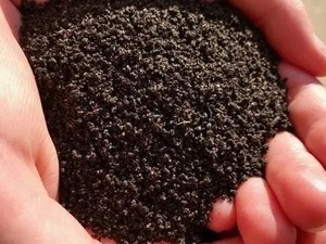 VERS DE TERRE GOLD VERMICOMPOST VOS PLANTES PRODUIT NATURELLEMENT PREMIUM À PRIX CONCURRENTIEL - Product Image 2