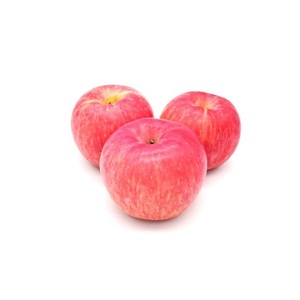 High Quality Organic Fuji Red <strong>Apples</strong> ISO Certified Fresh Fruit Wholesale Export with Discount Price Deliciously Crisp - Product Image 3