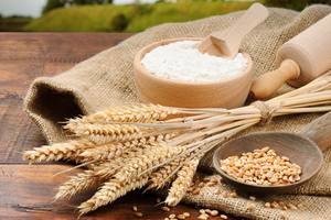 Fournisseur direct de farine de blé biologique sans gluten, options en vrac de farine de blé entière, qualité de traitement de l'avoine et de l'orge, qualité A, certifié ISO - Product Image 5