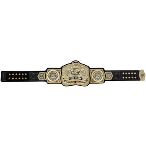 Tag Team Wrestling Championship Title Belt Fabricación personalizada Fantasy Popular New Wrestling Belts Championship Belt OEM - Product Image 5