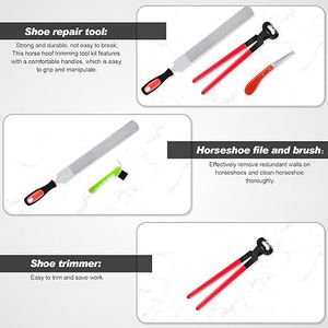 Juego de instrumentos veterinarios equinos profesionales Kit de herramientas de herrador de caballos Incluye pezuña Nipper Trimmer Raspador Cuchillo y cepillo de selección - Product Image 5