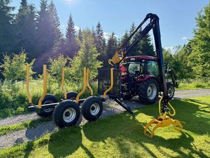 Remolque forestal de 5 toneladas con eje de componentes de núcleo de grúa para transporte de troncos - Product Image 6