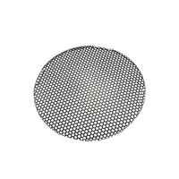 Grille de haut-parleur en acier inoxydable personnalisée, étanche, en métal, protection contre la poussière, découpe au laser, revêtement en poudre