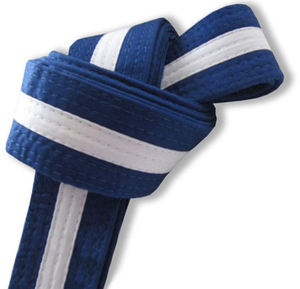 Elite Gear Extra <b>Wide</b> Black <b>Belt</b> for Professional Instructors - Product Image 5