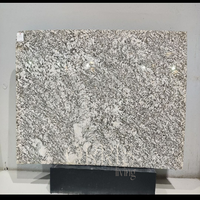 Grande dalle de granit naturel poli Dolce Vita au design moderne pour hôtels, restaurants et villas