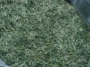 Flocons d'aneth séchés aromatiques, rehausseur de goût naturel pour plats cuisinés et mélanges d'assaisonnement | Ms. Jessi - Product Image 2