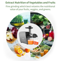 Professionele Stille Stille Smoothie Juicer Koudgeperst Fruit Ananas Slow Juicer Machine