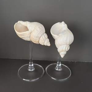 Cristalería Seashell grabada personalizada para ocasiones especiales - Product Image 4