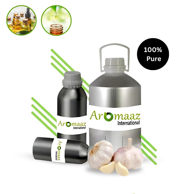 High Quality Pure and Natural Garlic