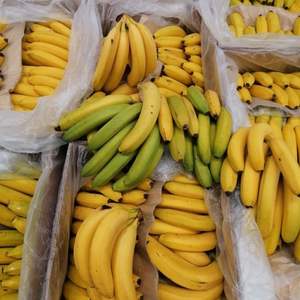 Plátanos Cavendish Frescos de Alta Calidad - Clase I Premium - Exportación - Suministro a Granel - Product Image 6
