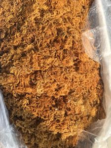 Sea <b>Moss</b> - Irish <b>Moss</b> - Seamoss Raw Organic - <b>Dried</b> Sea <b>Moss</b> - Natural Wildcrafted, Pure, Non-GMO & Gluten-Free Sea <b>Moss</b> - Product Image 5