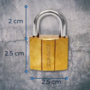 Lucchetto di Sicurezza in Ferro con Gancio Corto da 25mm - Product Image 3