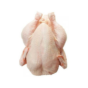 Poulet halal congelé, corps entier, élevé en ferme, nettoyé hygiéniquement, sous vide, en vrac, pour hôtels, restaurants et commerçants - Product Image 6