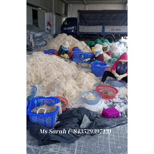 Algues séchées EUCHEUMA COTTONII, SEAMOSS-violet, jaune/blanc de 99 Gold Data Vietnam. Bon prix. - Product Image 3