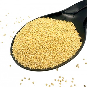 Meilleur prix pour le millet jaune farineux en gros – Fournisseur en vrac – Achetez du millet non glutineux pour la cuisson - Product Image 1